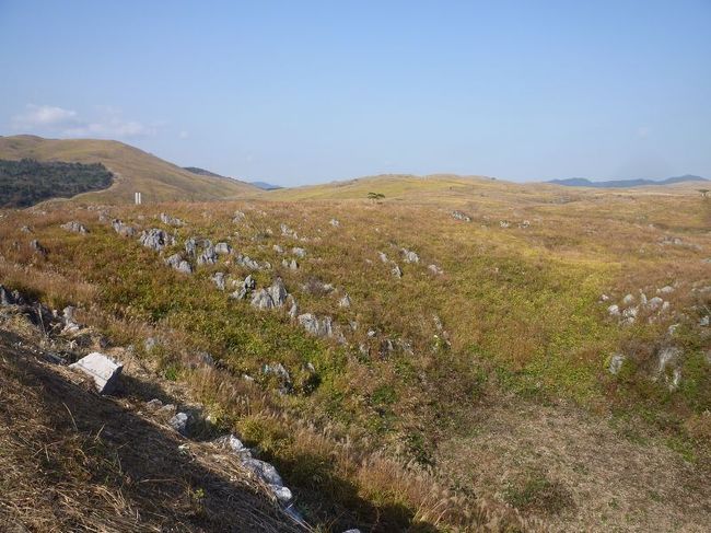 秋吉台の風景です。