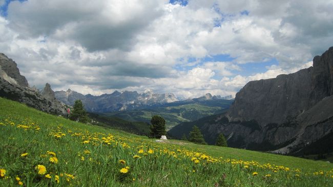 高山植物が今は盛りと、咲き誇っている。岩山と草原そして可愛らしい高山植物の花々のコントラストが、本当に美しい。