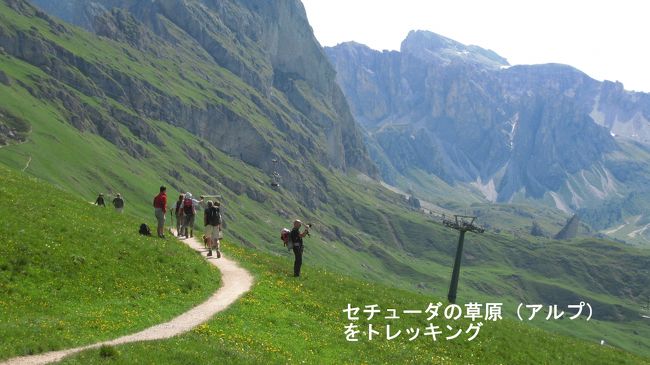 昨日訪れたサンマッツダレーナ村から見たガイスナー山塊の裏側を歩く。フネスの谷から見上げた山塊は荒々しいが、セチューダ側から見るとなだらかな牧草地のようになっている。