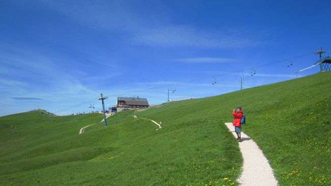 高山植物の花が咲き誇るアルプ（牧草地）を気持のよい風を感じながら歩く。<br />空の色やスジ雲を見ても、気持ちの良さが分かってもらえると思う。