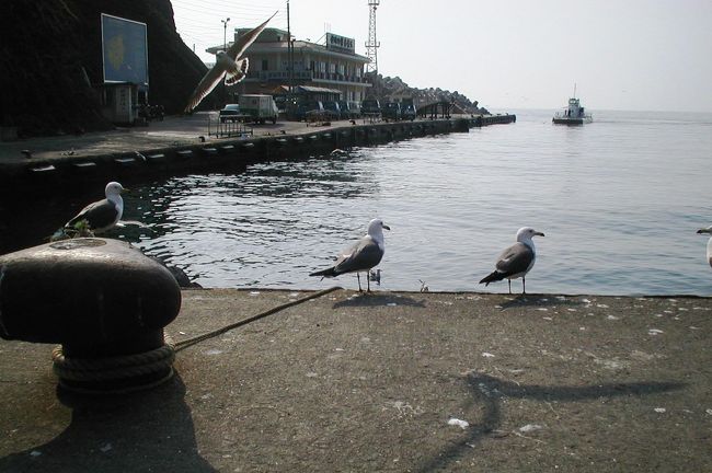 ⑩道洞港(トドンハン)：鬱陵島（ウルルンド)