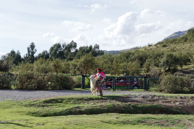 この辺りの観光地によく見られる光景です。動物を連れたインディオの人たちが観光客を相手に写真を一緒に撮るサービスをしていて、チップを受け取っているのです。<br />