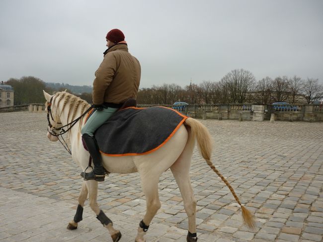 入口にて<br />たてがみも尾っぽもみつあみでおしゃれしてます