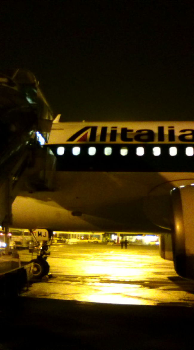 今回使ったのはアリタリア航空。あんまり良いうわさを聞かなくて…だったのですが、思いのほか快適でした！成田→ローマの機内食（イタリア料理が切れてしまってしかたなしに）和食をチョイスしましたが、おこわと白身魚のあんかけみたいのが美味しかった！機内後部にフリードリンクもあったようです。CAさんも上品な感じだったなー。フットレストもあって良かった。<br />ローマ→フィレンツェは小さな飛行機で。ゲートからバスに乗り、階段で機内に入るのは初でした。階段で並んでいる間が超さむい…。