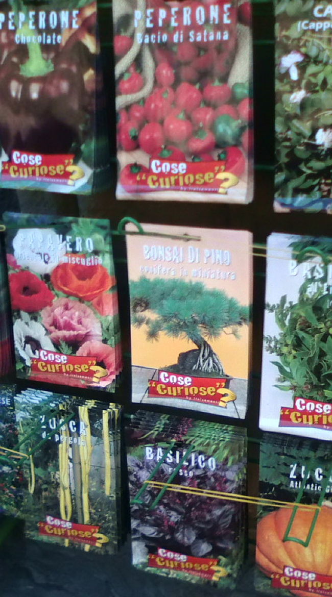 ぶらぶら歩いていたら店先で見つけた「たね」<br />いろんなのがあった中に、「BONSAI」って！<br /><br />日本人だって、盆栽たねから育てないんだけど…このたね買ってチャレンジするひといるのかな〜？