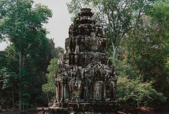 家に帰って写真を見ても