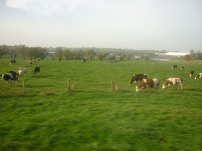 バスの中からの景色<br /><br />バスの中では添乗員さんが休みなくガイドしてくれます。