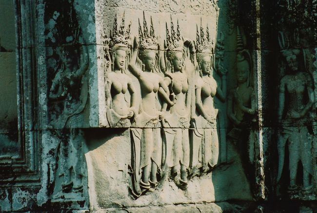 すんごい綺麗。