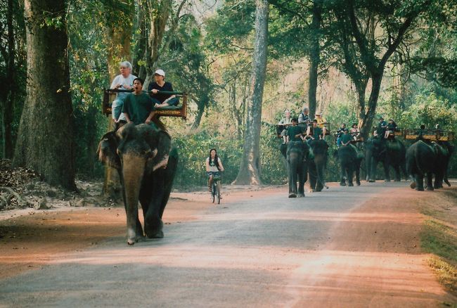 象に乗って遺跡を回るVIPたち