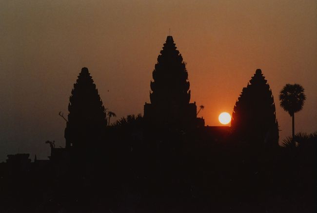 やっぱパワーを感じる