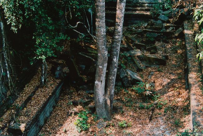 すごい違う世界に来たみたい