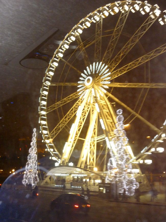 観覧車が出来上がっていました。