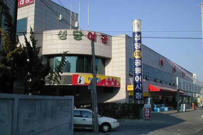 ④大邱(テグゥ)広域市：246万人：慶尚北道道庁所在地：写真は、東大邱で止まった安宿です。<br /><br />＊韓国紀行7：大邱<br />http://4travel.jp/traveler/tabitonokumasan/album/10150662/