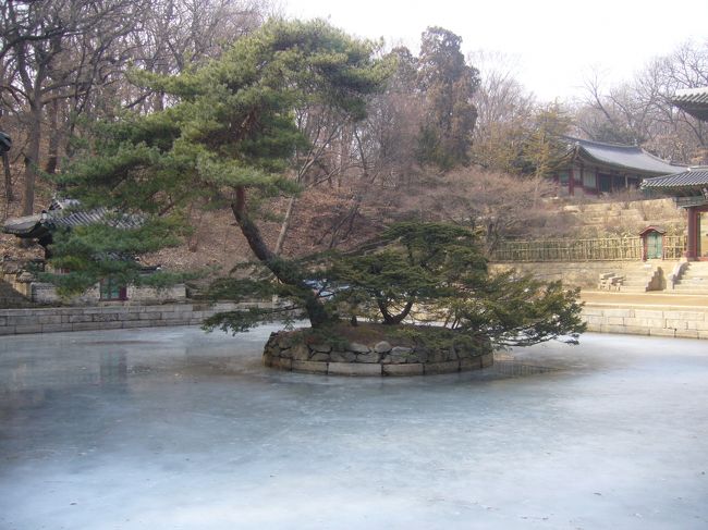 寒すぎて凍ってる。。。