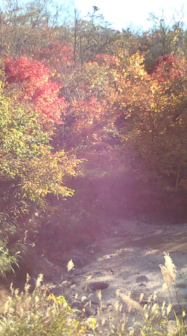 源泉近くで湯気が立ち込める。