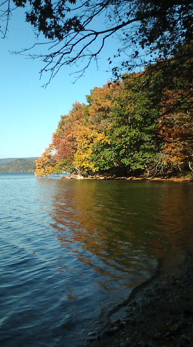 三色が織り成す美しさ。