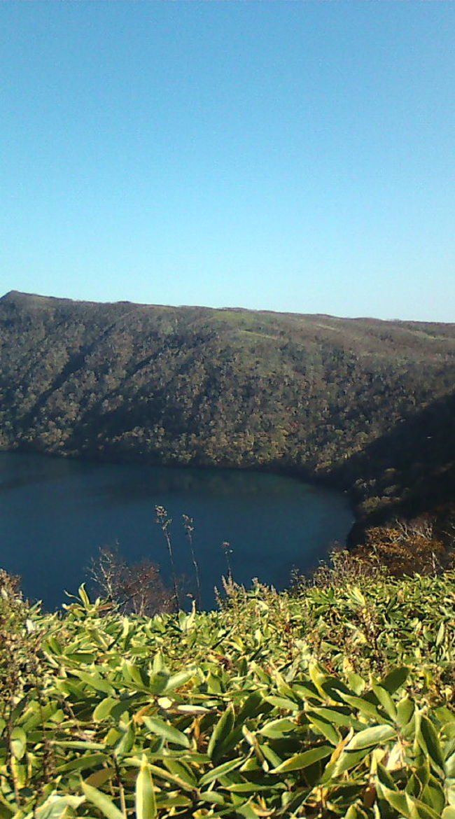 笹の緑とブルー。