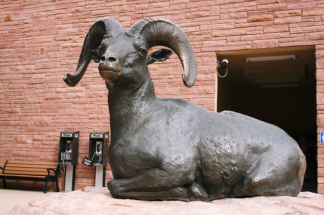 会えたヒツジは、このヒツジだけ…<br /><br /><br />Visitor Center<br />Arches NP