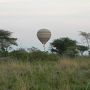 ケニア大自然の旅８日間⑧マサイ・マラ早朝サファリ編