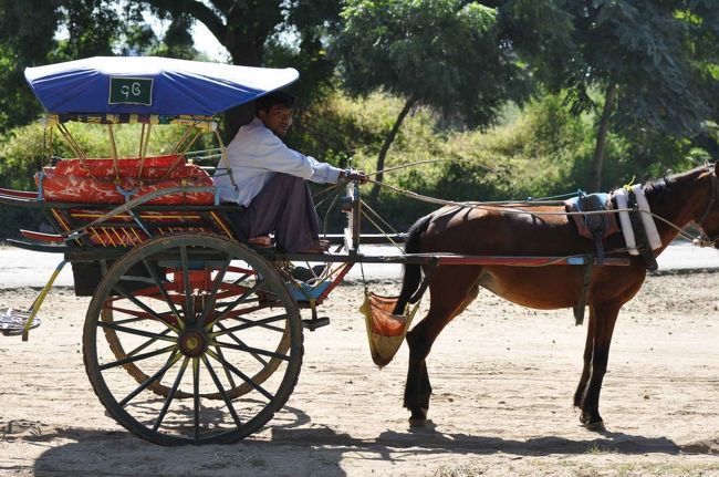 バガン滞在の三日間、馬車をチャーターしました。<br />料金交渉の結果、サンライズ・サンセット各二日分を含め、<br />三日間で５０,０００チャットで合意。<br />馬車は遅いのが難点ですが、のんびりムード満点・・・