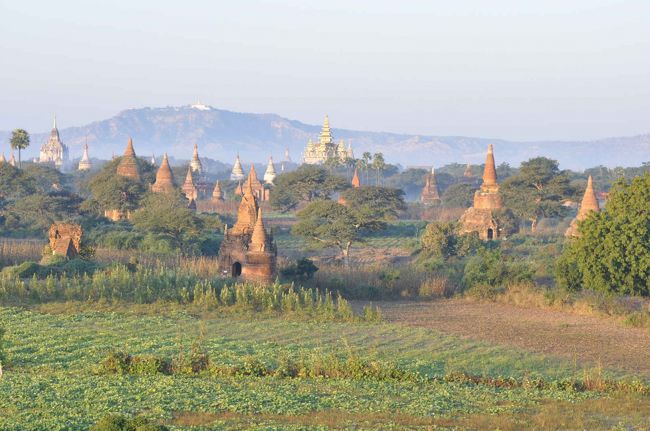 見間違うことない、印象的なバガンの風景