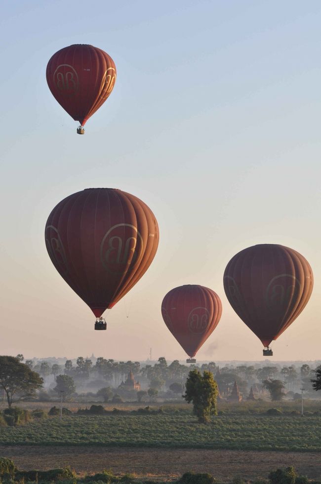 サンライズを見る熱気球が出動し始めました。