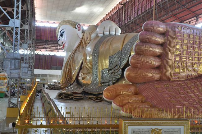 見る角度により、表情が違います。