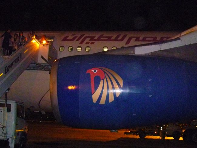 エジプト航空のこのロゴマークは<br />古代エジプト天空の神ホルスでハヤブサの顔を持っていて<br />「安全な空の旅を・・」との願いがこめられているそうです。