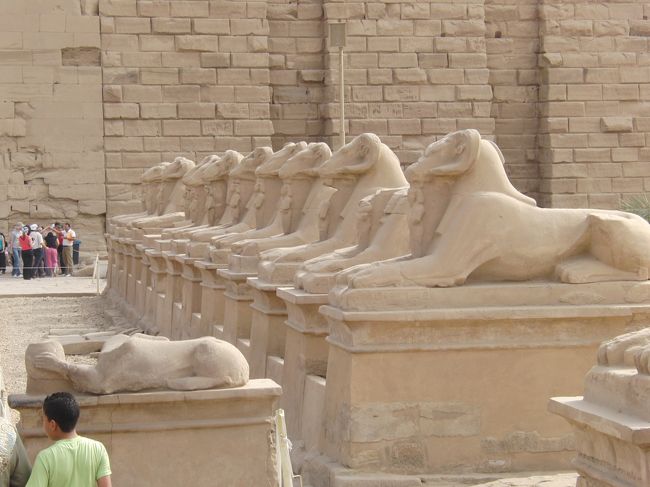 第１塔門の前には左右４０体が並ぶ牡羊の頭のスフィンクス。