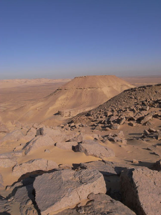 ムスタバ的、フォトスポット