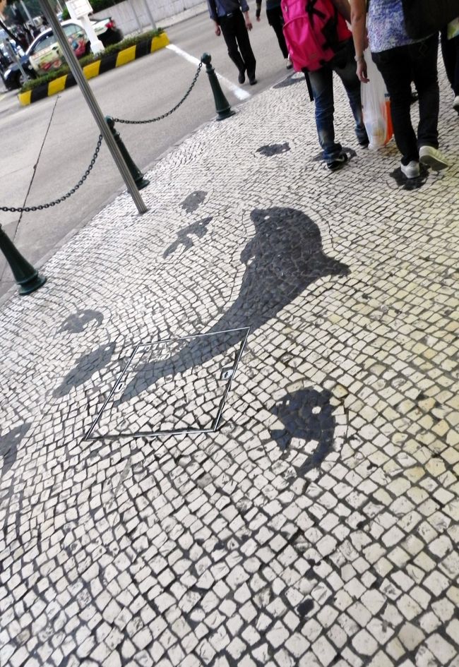 いるかが楽しそうに舞う石畳の街