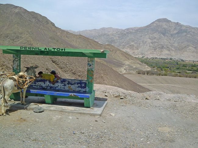 ナスカ→リマ、砂漠。バス停で馬を伴った子供が遊んでいた。