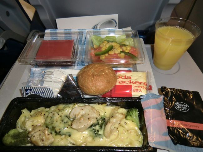 KLMオランダ航空を利用しました。<br />前回フランス行ったときに利用した<br />ロシアのアエロフロートとついつい比較してしまいます。<br /><br />やっぱ良いですね〜KLM！<br />暇つぶしのメニューの充実ッぷりが最高でした。<br />映画・TVドラマ・音楽は海外のだけでなく日本のものまでそろってます。<br />ゲームも種類豊富。語学学習まであるんですよ。<br />フライト時間が10時間以上もあるので、ここでスペイン語を少し勉強していきました。<br /><br />（後々このスペイン語学習コースに非常に感謝するのであった）<br />