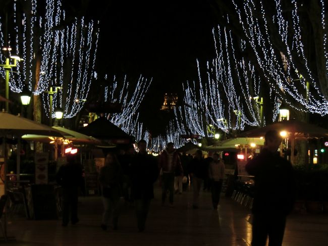 ランブラス通り<br /><br />そこそこ賑わっています。<br />クリスマスイブじゃなきゃもっと人手があったのでしょうか。<br /><br />どこのBarに入ろうか迷ってしまいます。