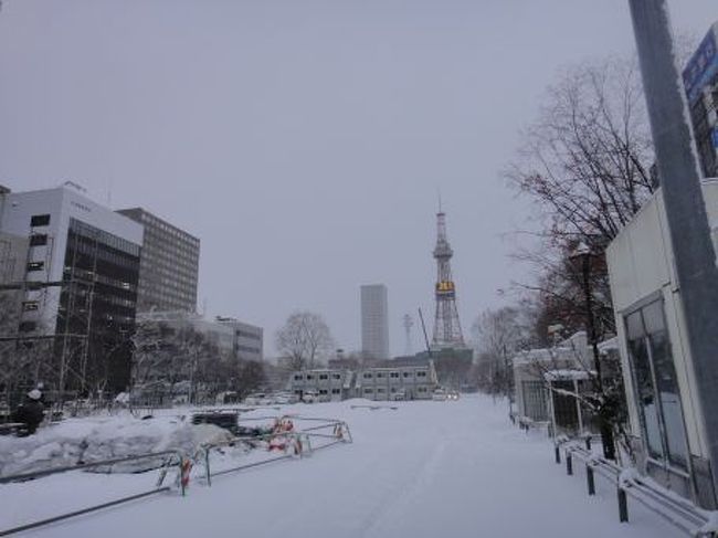 市内は、雪祭りの設営が始まっていたようで、大通り公園はいたるところに工事現場が出現。
