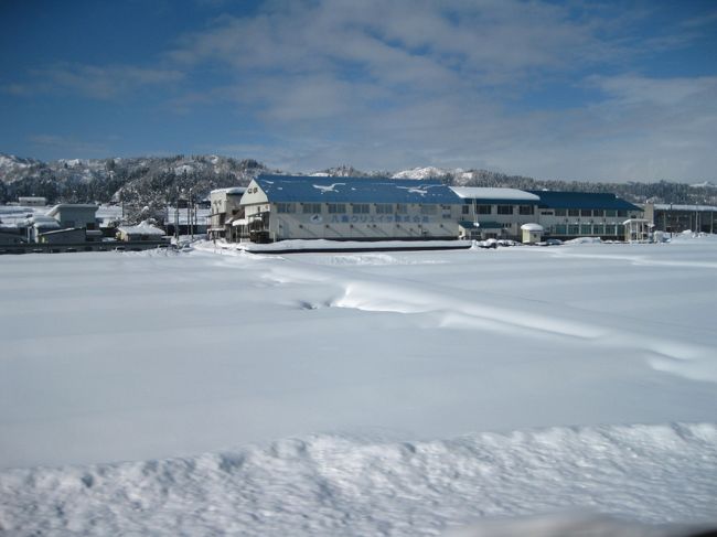 雪が珍しい子で、すみませ……orz