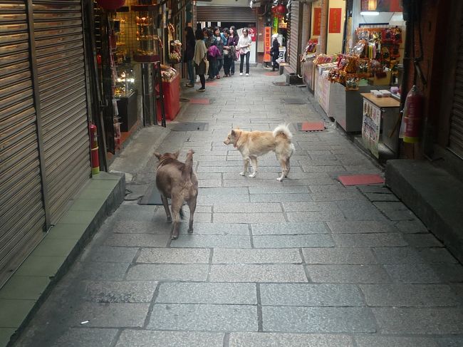 ワンちゃんたちがうろうろと放し飼い。<br /><br />ちょっと怖かったです＾＾；