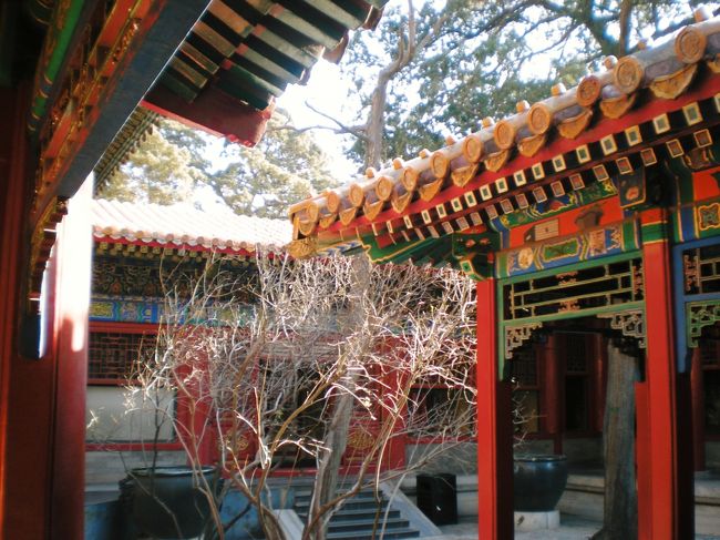 外朝の太和殿などの大きな建築物も良いのですが、内廷のこんな風情の方が落ち着きます。