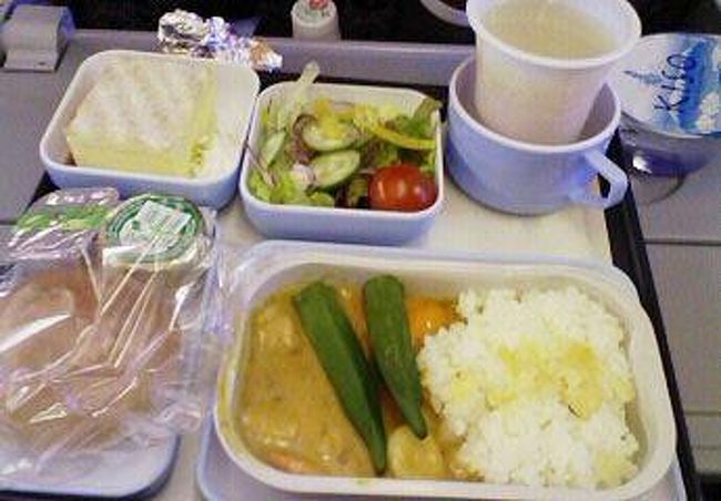 成田→カイロのエジプト航空の食事<br /><br />オクラカレーでした。マイルドな辛さで美味しかったです。