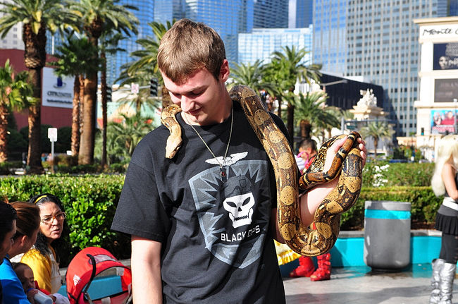 ２３日　１２：５０<br /><br />アナコンダ！！？？<br /><br />街を歩いてると、いろんな商売が・・。