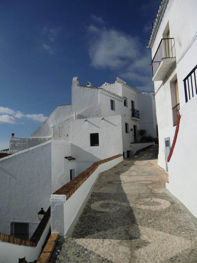 有名な白い村、フリヒリアーナです。<br />ゴシック的なものばかり見てきたので<br />このさっぱり感が新鮮で、テンションが上がりました。<br /><br />そしてここもまたフランスの鷲巣村と同じく、<br />空腹にこたえるちょっと山になっている造りです。<br /><br />朝から何も食べていないので、<br />一目散にレストランを目指します。<br /><br />ここがエズと同じならきっと上のほうにあるはず・・・