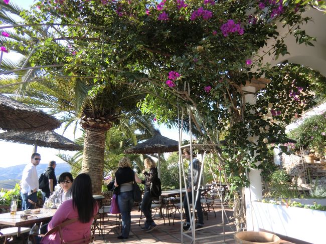 レストランの様子。<br />全席眺めのいいオープンシートです。<br /><br />ごちそうさまでした。