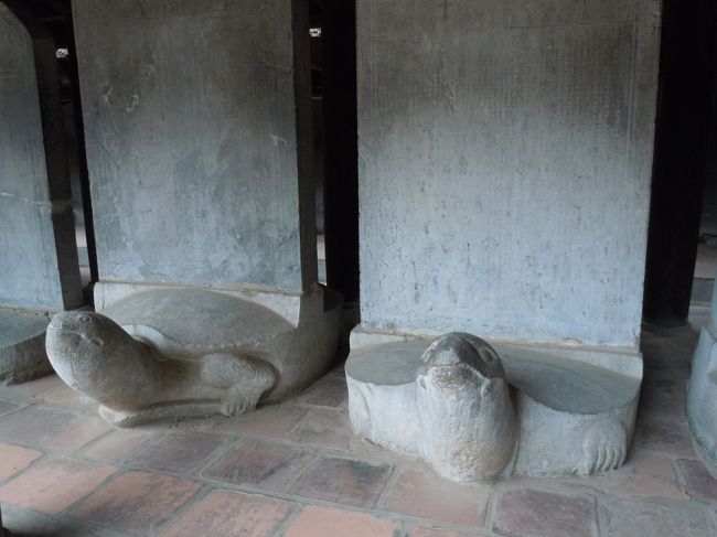 この亀たち、有名らしい