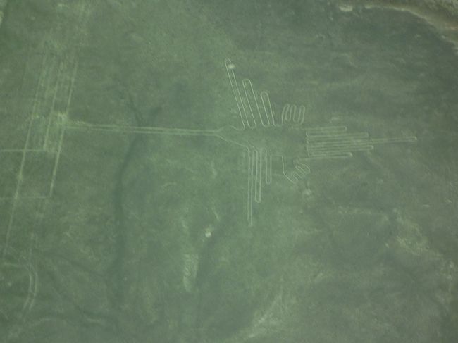 ナスカの地上絵「ハチドリ」。<br />イカの専用空港からセスナで飛んで見た。<br /><br />「地球の歩き方」には、<br />天気が悪くて見えないかもしれないし、セスナはゲロゲロに酔うから特に見なくていいと書いてあったが<br />やはり世界７不思議（？）。見て正解！！<br />楽しかった。