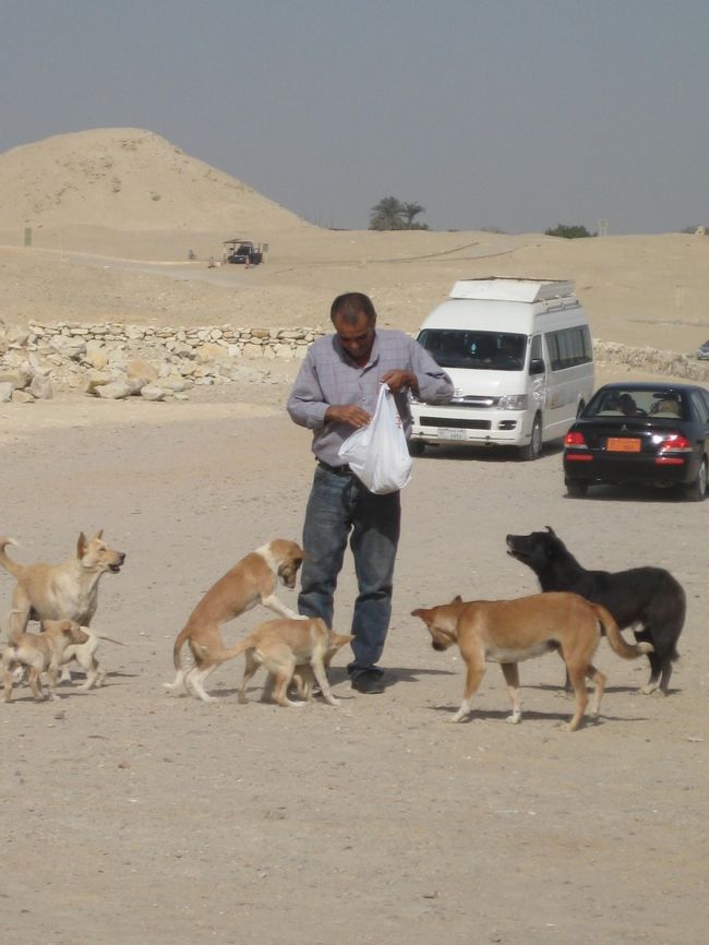 犬にエサをあげているおっちゃん。