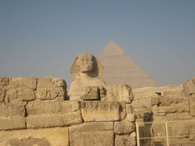 スフィンクスちゃん。来ましたよ〜♪