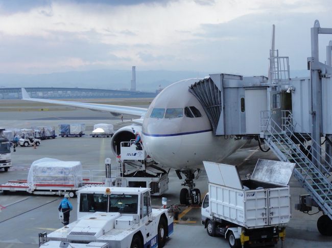 これから搭乗予定のアシアナ航空を発見！