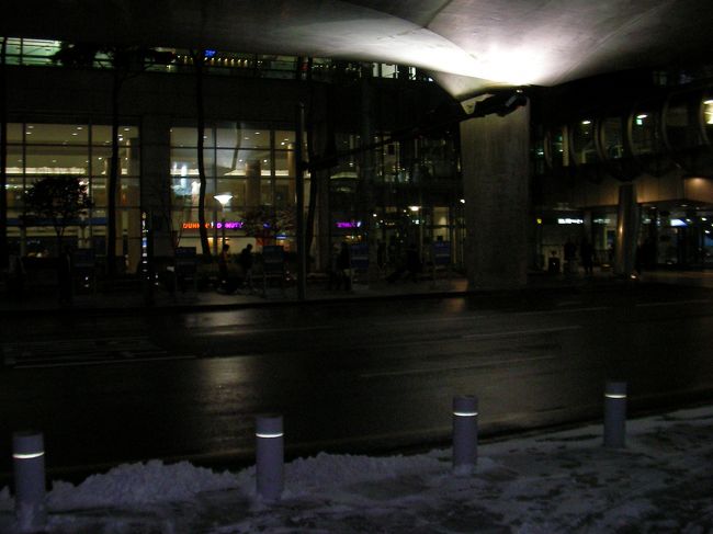 荷物を受取り、Eの出口から出ると現地のガイドさんが出迎えてくれました。<br /><br />時期も年末と言う事で<br />ツアー参加者37人の大所帯です。<br />全員揃うまで待つことに･･･。