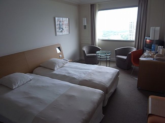 部屋はツインのシングルユースです。シンプルで広さも可もなく不可もなくって程度です。