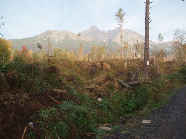 時刻は朝7時半頃。ケーブルカーの始発までまだ1時間先。早く来過ぎましたかな。